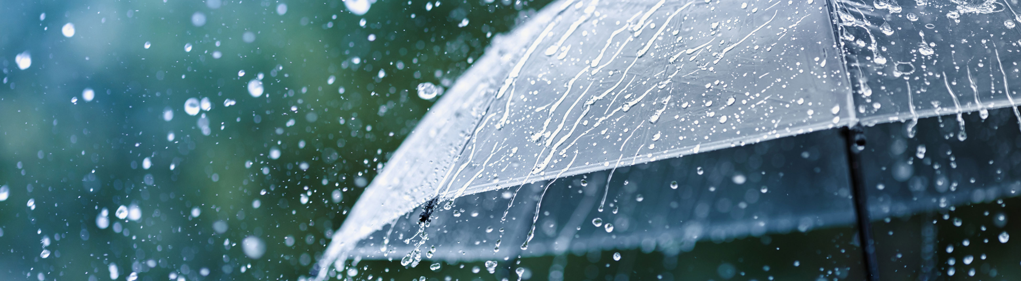 Minnesota Umbrella insurance coverage